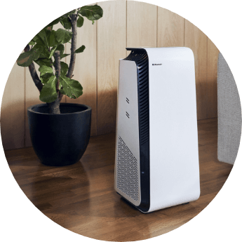 Air purifier shop energy efficient